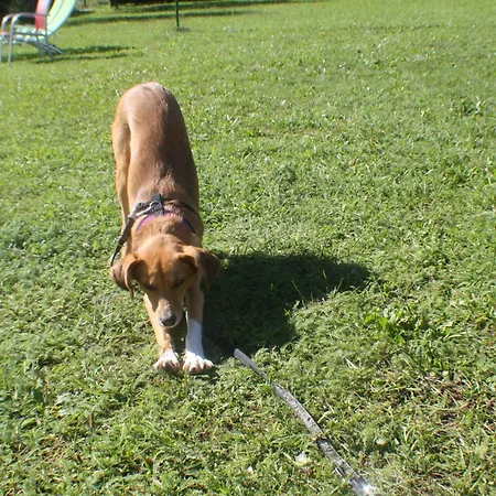 Jacqueline Apartamento *