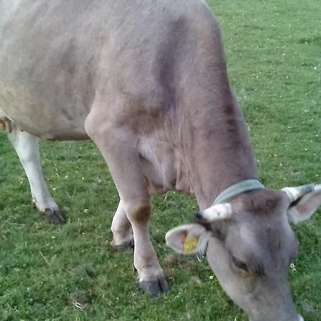 Apartamento Jacqueline Sankt Kanzian am Klopeiner See