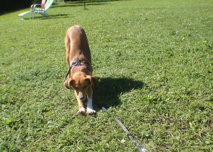 Jacqueline Apartamento *